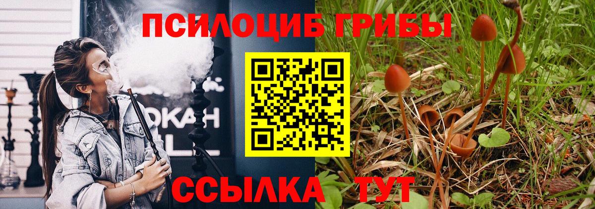 Псилоцибиновые грибы Psilocybe  даркнет сайт  Стрежевой  Вход с VPN 